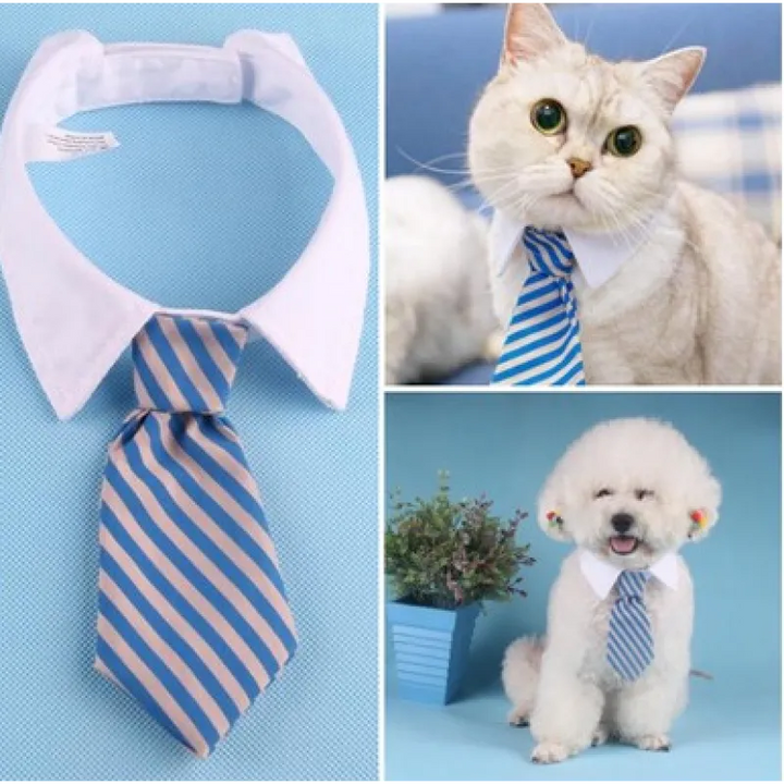 Adjustable pet collar with a trendy tie, ideal for small to large dogs and cats.