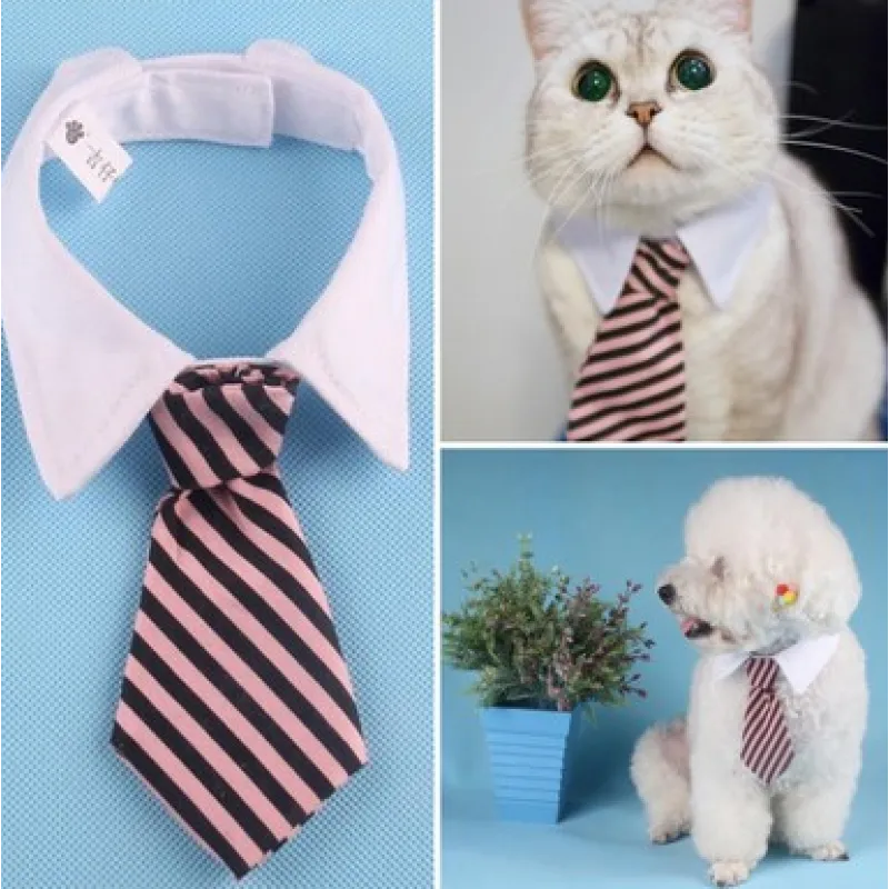 Sophisticated pet collar with a smart tie, a versatile animal accessory for any occasion.