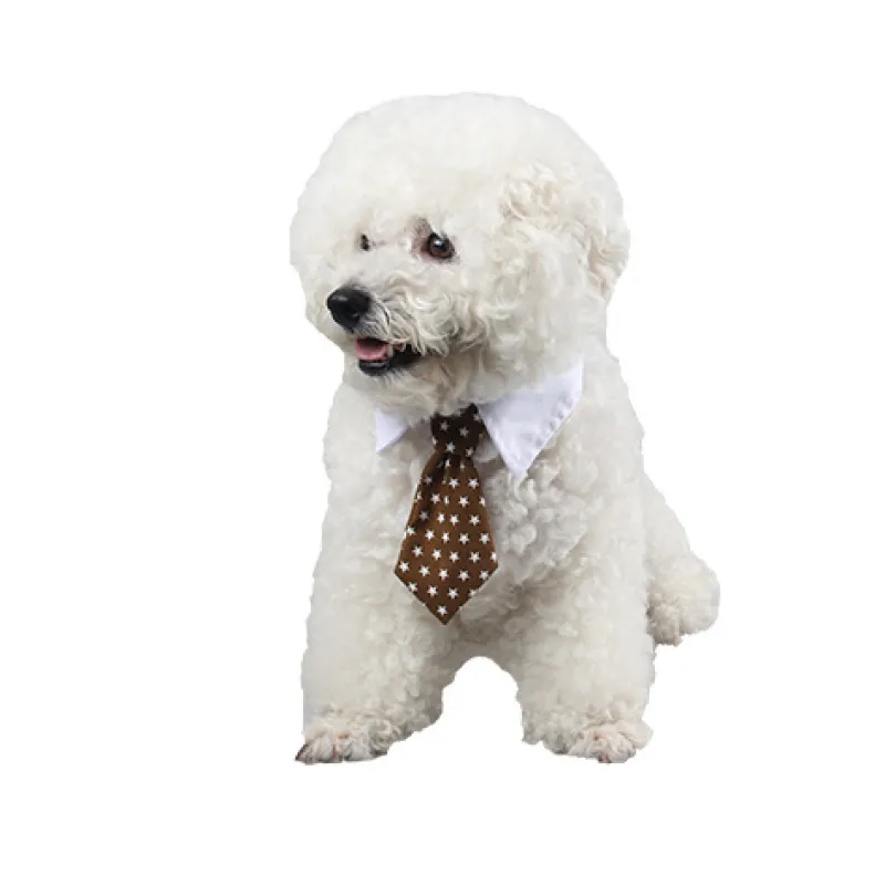 Durable pet fashion collar with a charming tie, suitable for both dogs and cats.