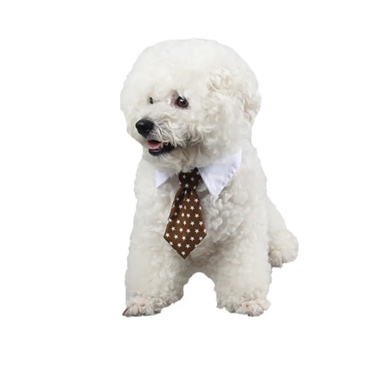 Durable pet fashion collar with a charming tie, suitable for both dogs and cats.