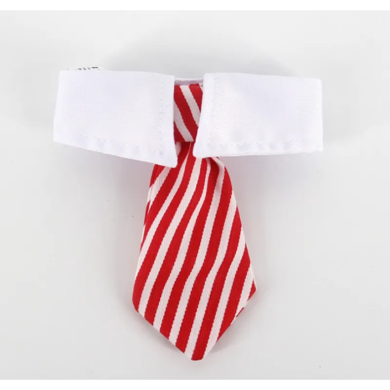Pet gift idea: a stylish dog & cat collar with an attached tie for a dapper look.