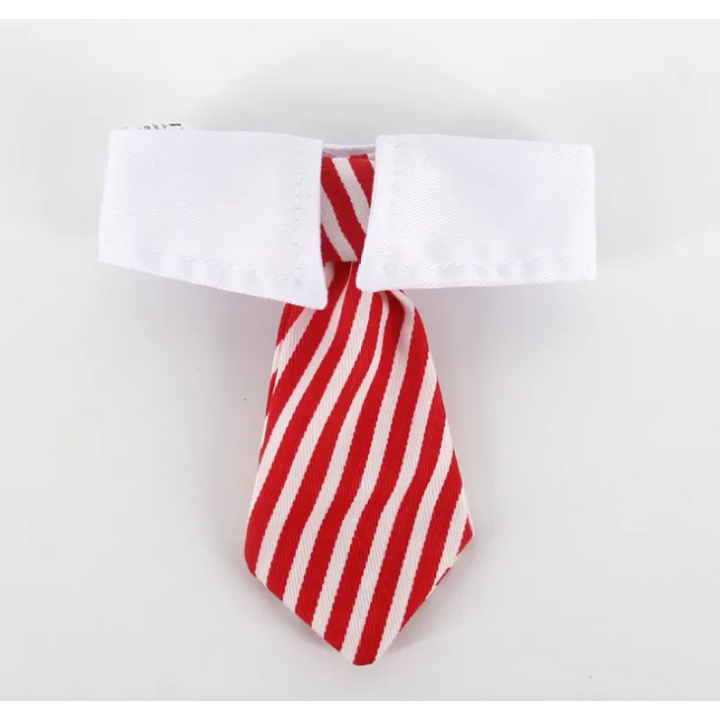 Pet gift idea: a stylish dog & cat collar with an attached tie for a dapper look.