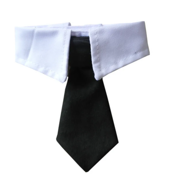 Comfortable pet collar and tie set, enhancing your dog or cat's formal appearance.