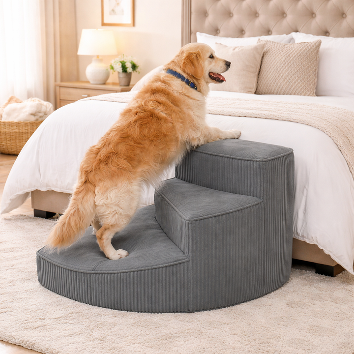 Dog steps with non-slip base, providing joint support for aging pets.