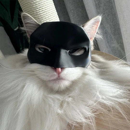 Unisex black pet hero cat mask with pointy ears, perfect for parties, photos & costumes.
