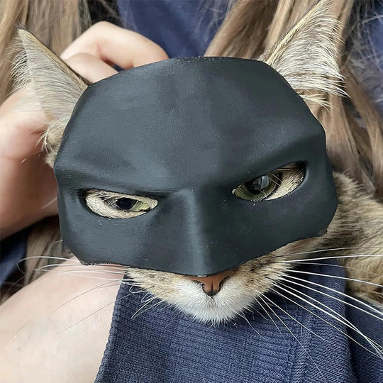Black hero cat mask, sleek design, a cool pet accessory for Halloween or funny photo sessions.