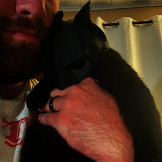 Cat hero mask, black with ear slots, a fun pet accessory for Halloween & memorable photo ops.