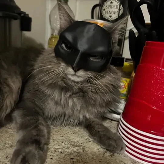 Pet hero mask, black with pointy ears, an adorable cat accessory for photoshoots & events.