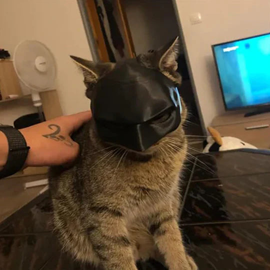 Feline hero mask, black, ideal for a funny cat costume or a spooky Halloween pet outfit.