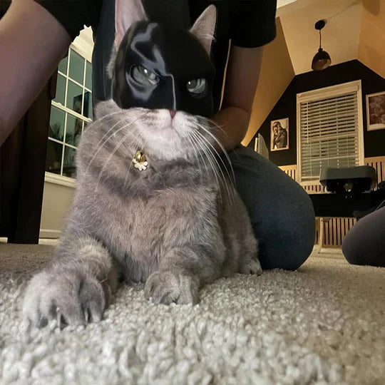 Unisex pet cat mask, hero-style, black, perfect for party photos & pet dress-up events.
