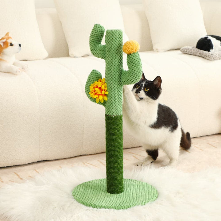Unisex cactus cat scratching post with durable sisal rope for claw health and fun.