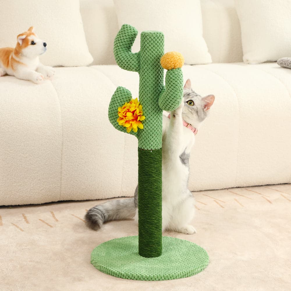 Cute cactus cat toy, a fun scratching post for indoor cats to sharpen claws.