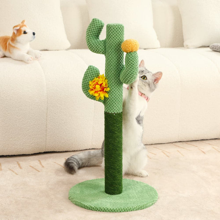 Cute cactus cat toy, a fun scratching post for indoor cats to sharpen claws.