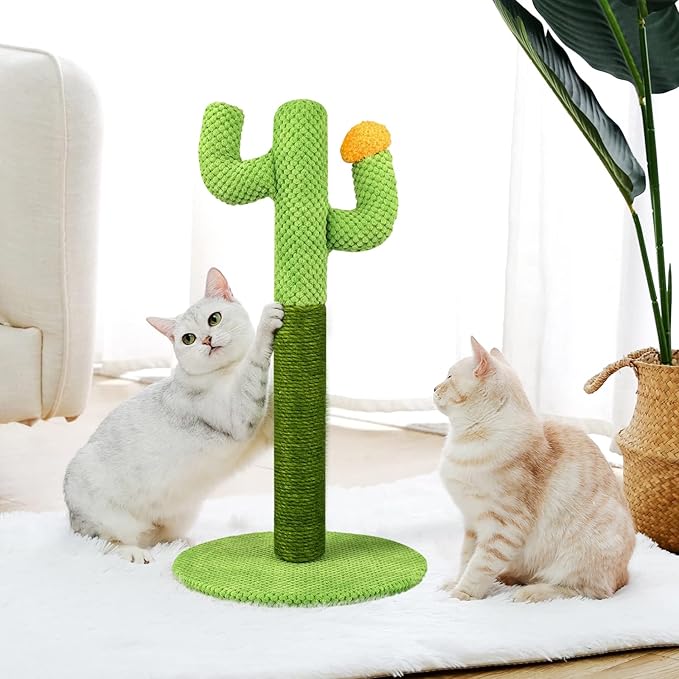 Interactive cactus cat scratcher, perfect for feline enrichment and play.