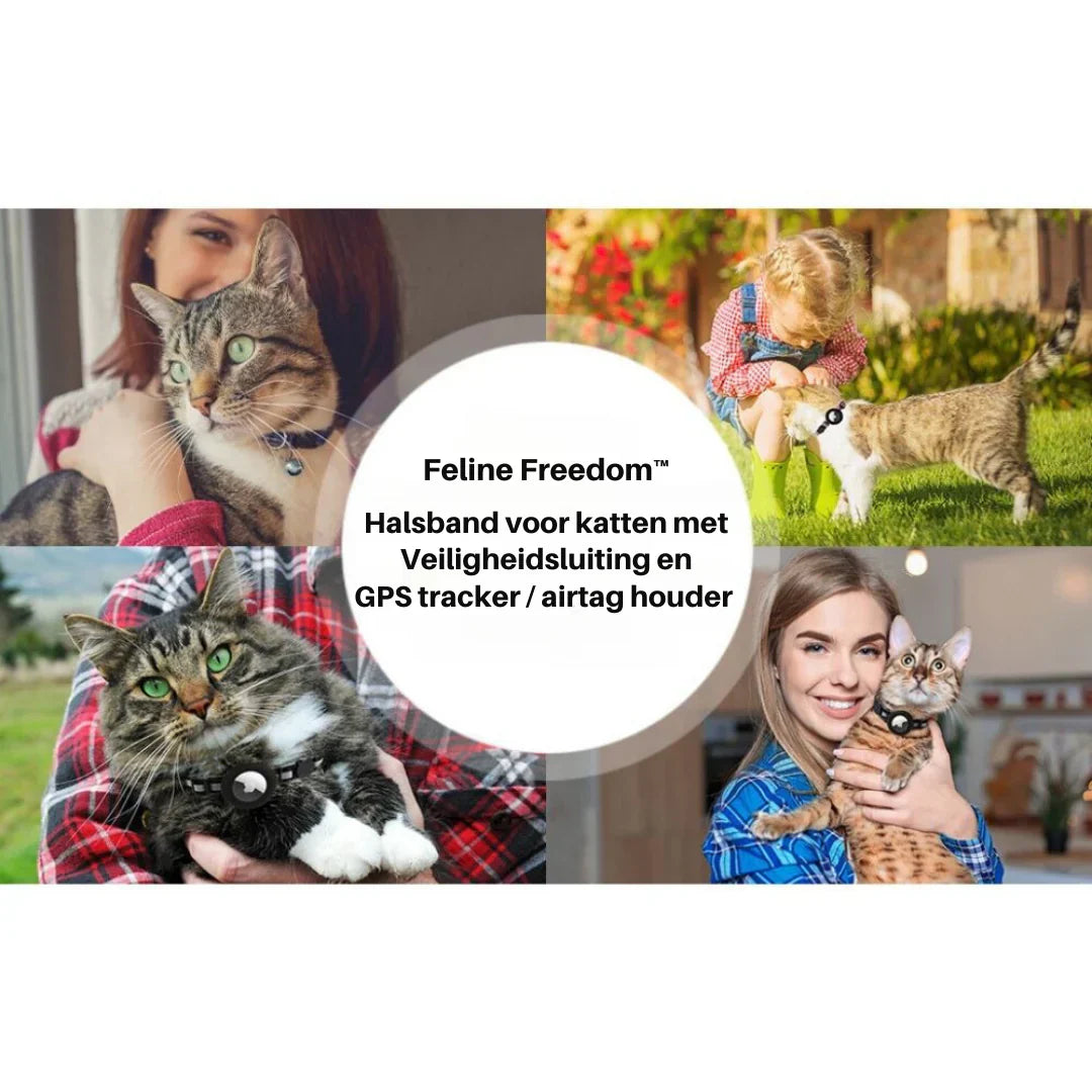 Practical pet accessory: a colorful, soft, and adjustable cat collar with a breakaway function.