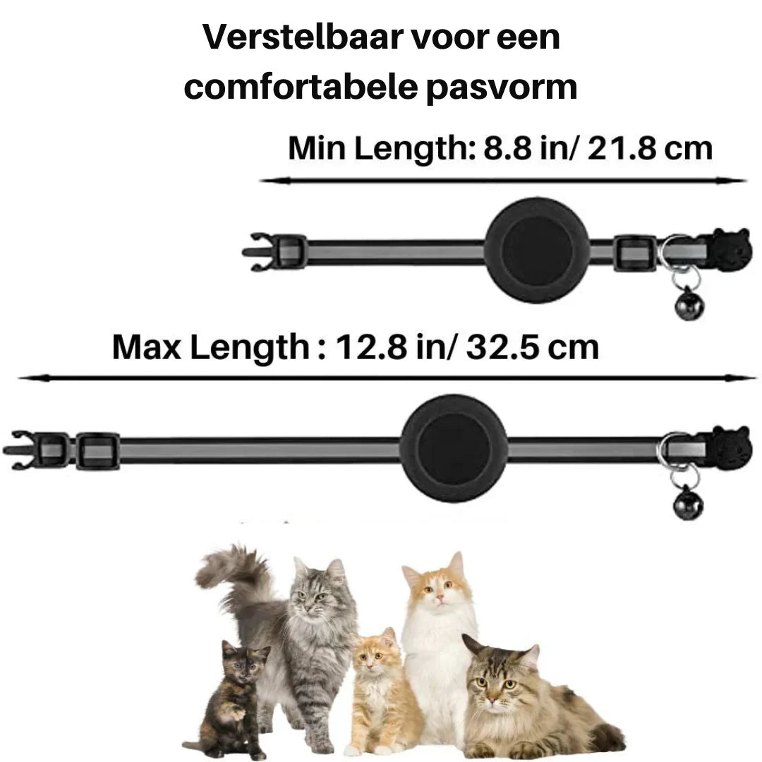 The ultimate safety cat collar with breakaway clip, bell, and adjustable comfort for your feline friend.