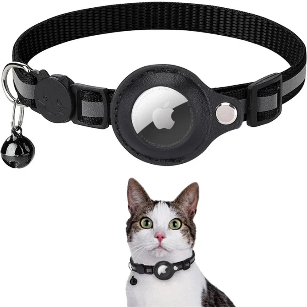 Feline gear: a comfortable, colorful cat collar with an essential safety breakaway clip.