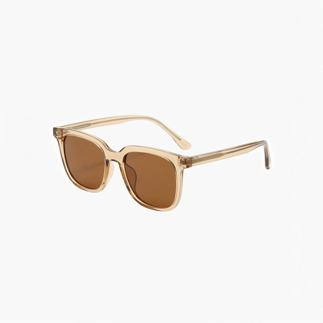 Black Transparent classic sunglasses, fashionable eyewear offering essential UV eye protection.