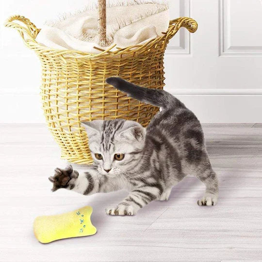 Engaging interactive cat toy with catnip, built to be scratch-resistant and durable for active, happy cats.