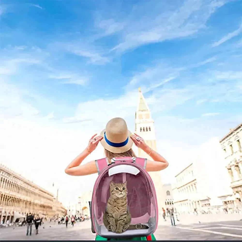 Spacious dog carrier bag with breathable mesh for secure and comfortable pet travel.