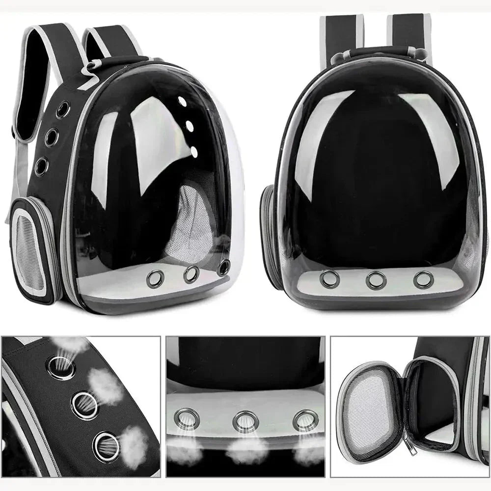 Ventilated unisex pet carrier designed for safe and comfortable car rides.