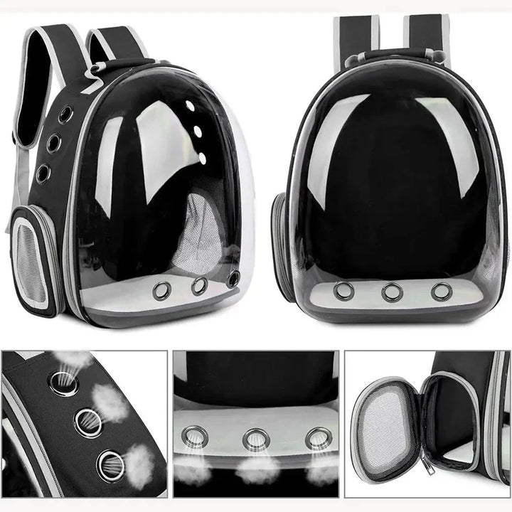 Ventilated unisex pet carrier designed for safe and comfortable car rides.
