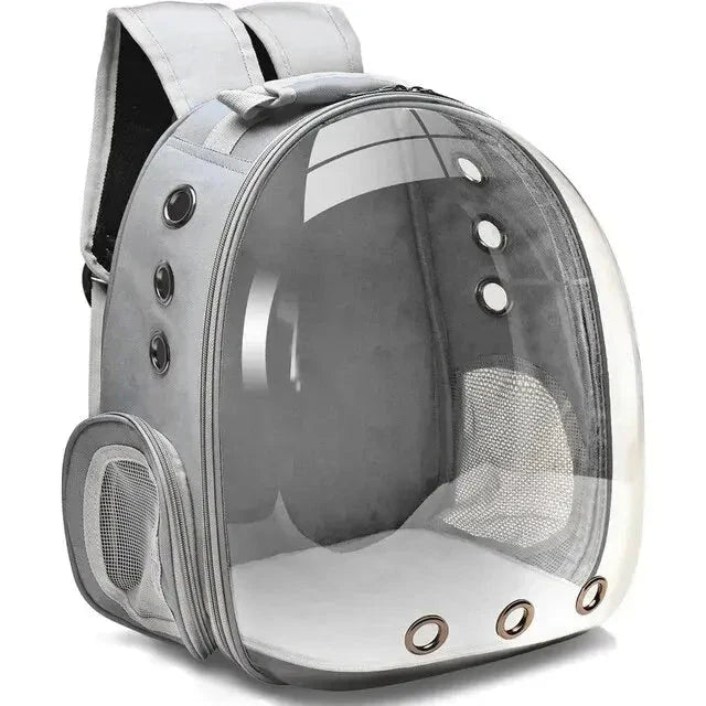 Portable dog travel bag with comfortable padding for stress-free car trips.
