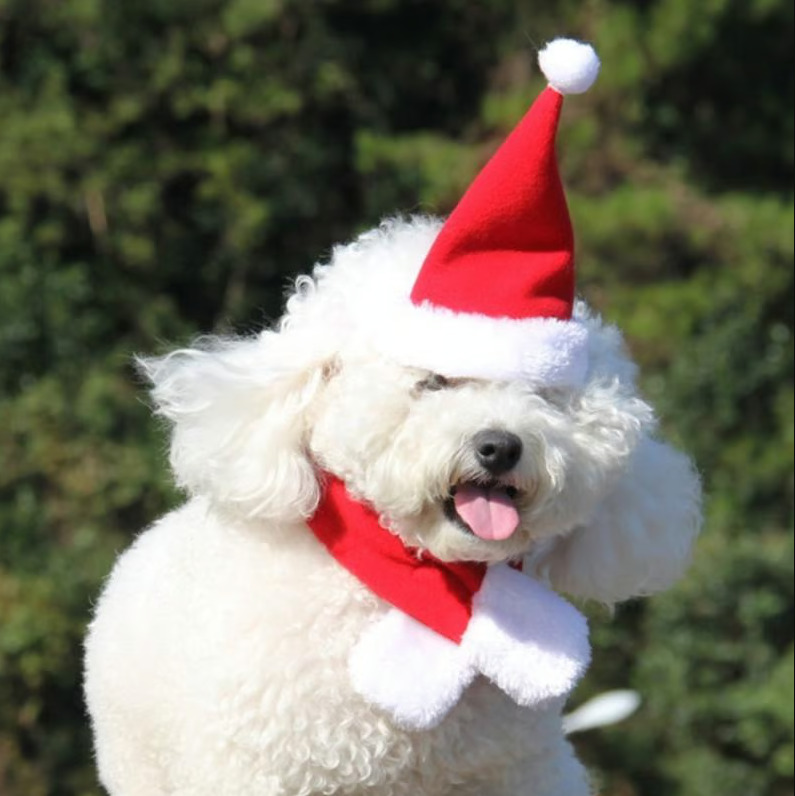 Unisex Christmas pet accessories: hat & scarf set. Holiday apparel for dogs, cats, and pets.