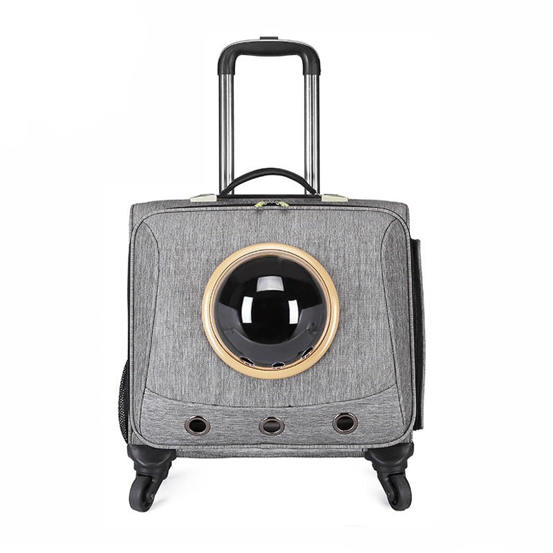 Unisex pet travel carrier for small dogs & cats. Safe, comfortable car travel crate for pets, essential pet accessory.