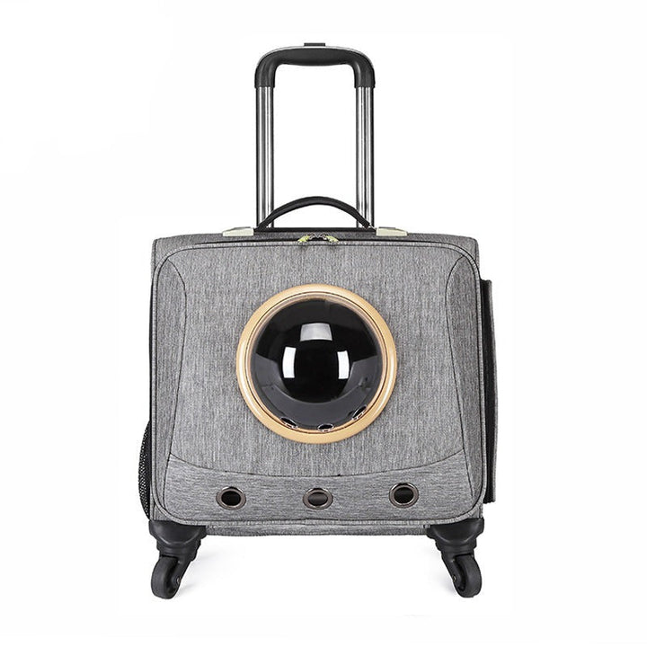 Unisex pet travel carrier for small dogs & cats. Safe, comfortable car travel crate for pets, essential pet accessory.