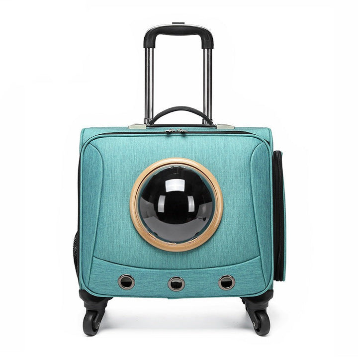 Portable pet carrier for small dogs & cats, designed for car travel. Comfortable pet transport crate with mesh windows.