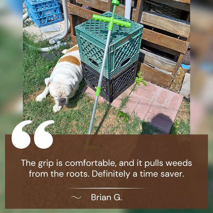 Efficient RootRipper outdoor tool, your go-to durable weed puller for a pristine garden lawn.