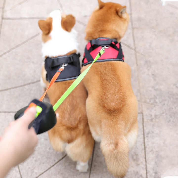 Tangle-free dual dog leash ensures smooth, comfortable walks for two dogs without knots or twists.