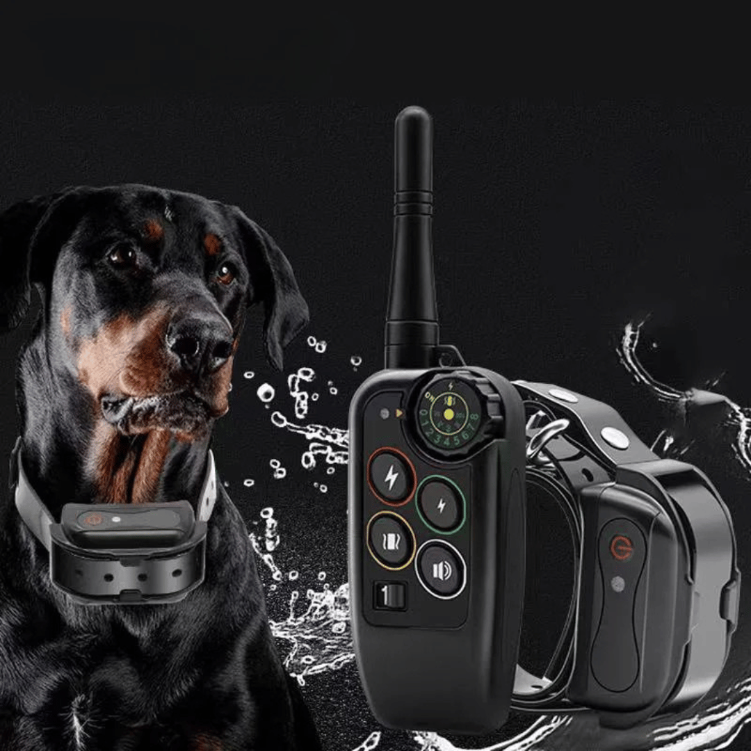 Dog training e-collar set with a waterproof receiver & long-range remote, ideal for behavior aid.