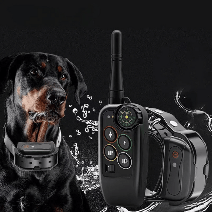 Dog training e-collar set with a waterproof receiver & long-range remote, ideal for behavior aid.