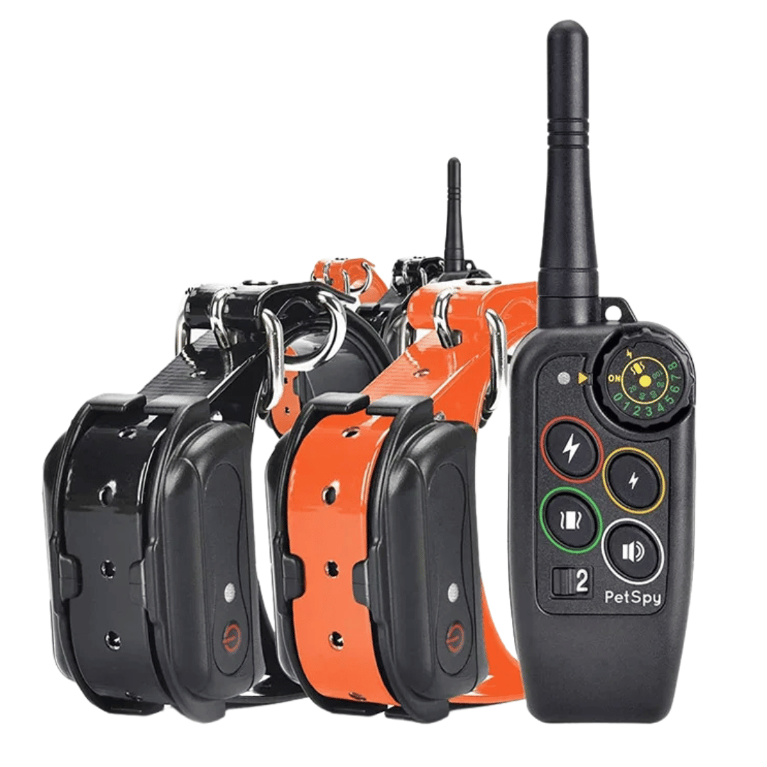 3280ft range waterproof dog training e-collar with remote. Essential pet obedience gear.