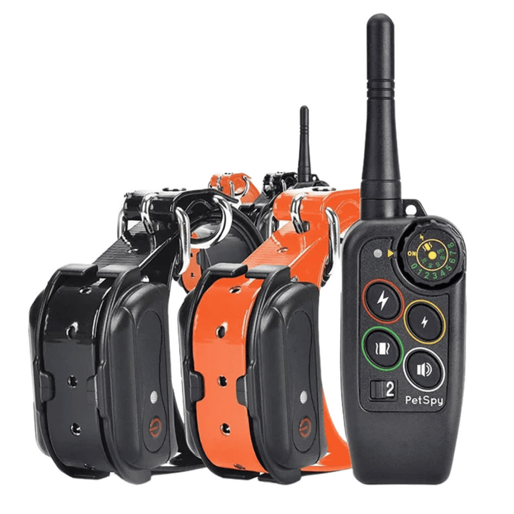 3280ft range waterproof dog training e-collar with remote. Essential pet obedience gear.