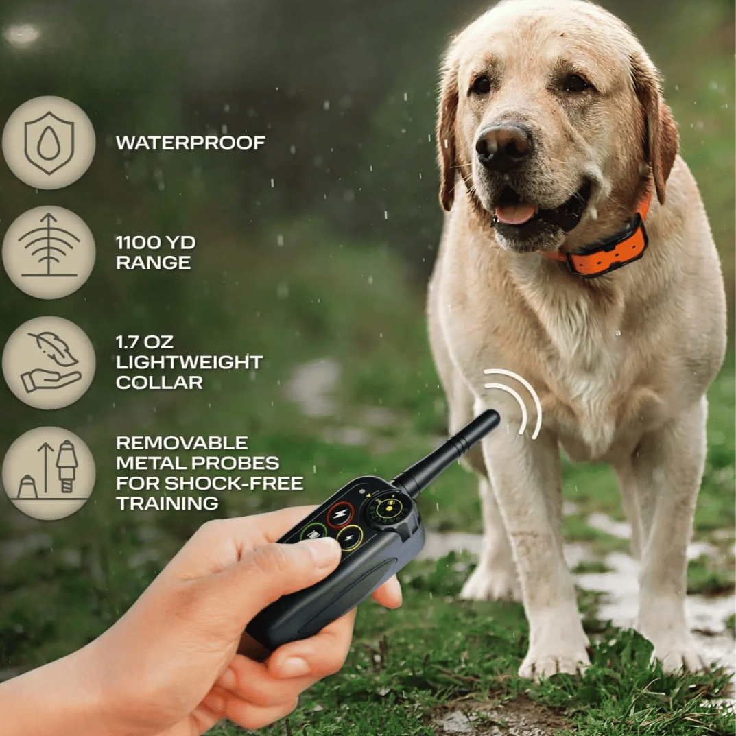 Close-up of waterproof e-collar and remote. Features long-range, rechargeable, and dog training.