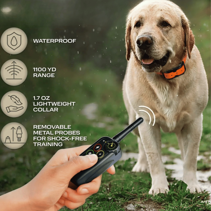 Close-up of waterproof e-collar and remote. Features long-range, rechargeable, and dog training.