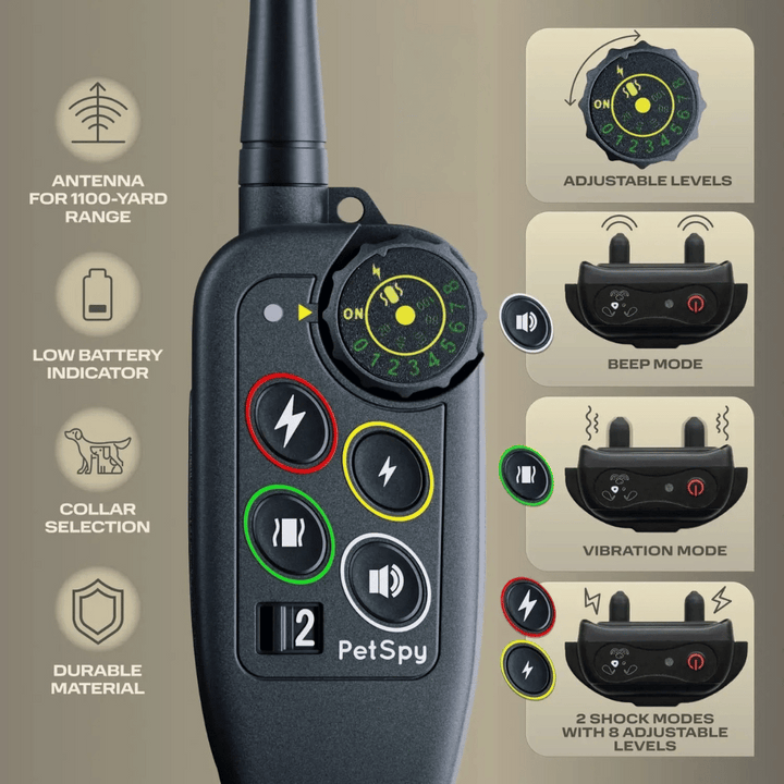 Owner using a waterproof dog training e-collar with remote for effective pet obedience in the park.