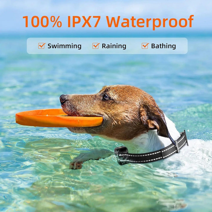 Happy dog wearing a waterproof rechargeable e-collar for effective outdoor training & behavior correction.