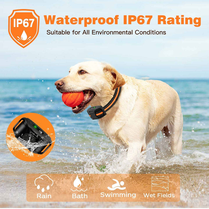 Pet supplies: Waterproof remote dog training collar, 3300ft range, for effective obedience and control.