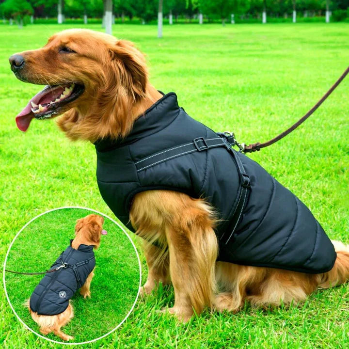 Waterproof winter dog jacket with integrated harness for ultimate warmth & outdoor protection. Reflective pet gear.