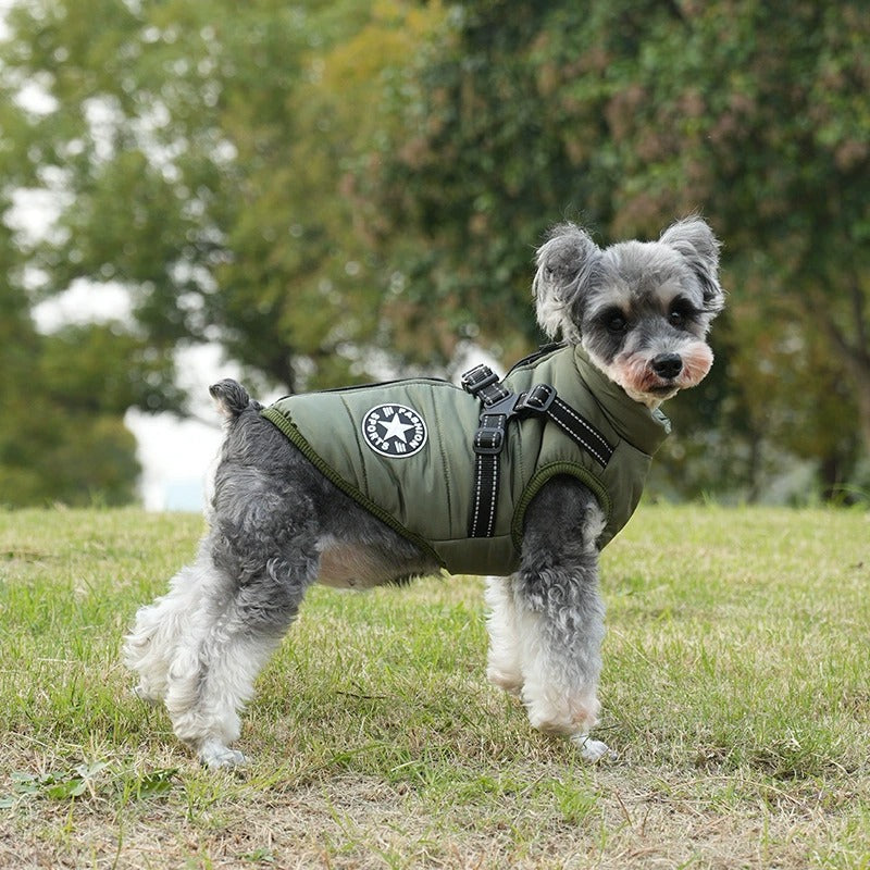 Waterproof winter dog jacket with integrated harness, perfect for warm, secure outdoor adventures.