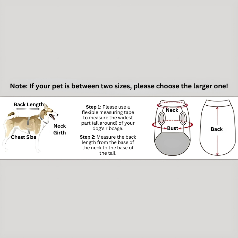 Warm dog winter coat & harness combo, perfect for cold weather. Reflective waterproof outdoor dog apparel.