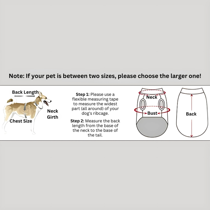 Warm dog winter coat & harness combo, perfect for cold weather. Reflective waterproof outdoor dog apparel.