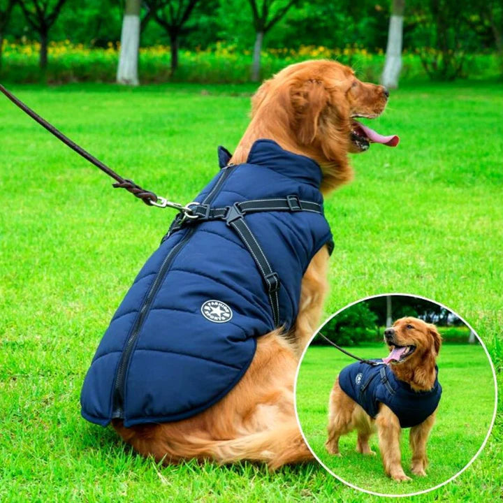Reflective waterproof dog jacket with built-in harness, ideal for winter walks & cold weather outdoor adventures.