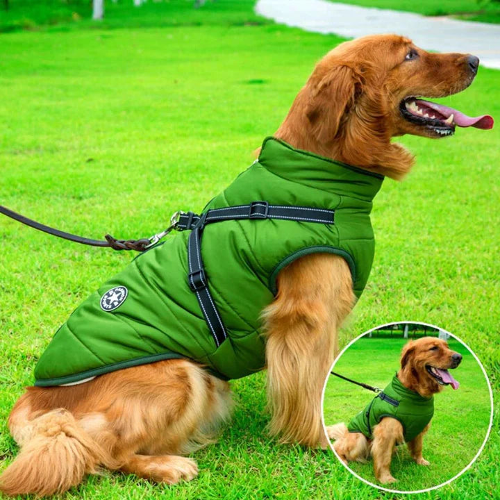 Durable waterproof dog winter jacket with integrated harness. Warm & reflective pet clothing for cold weather.