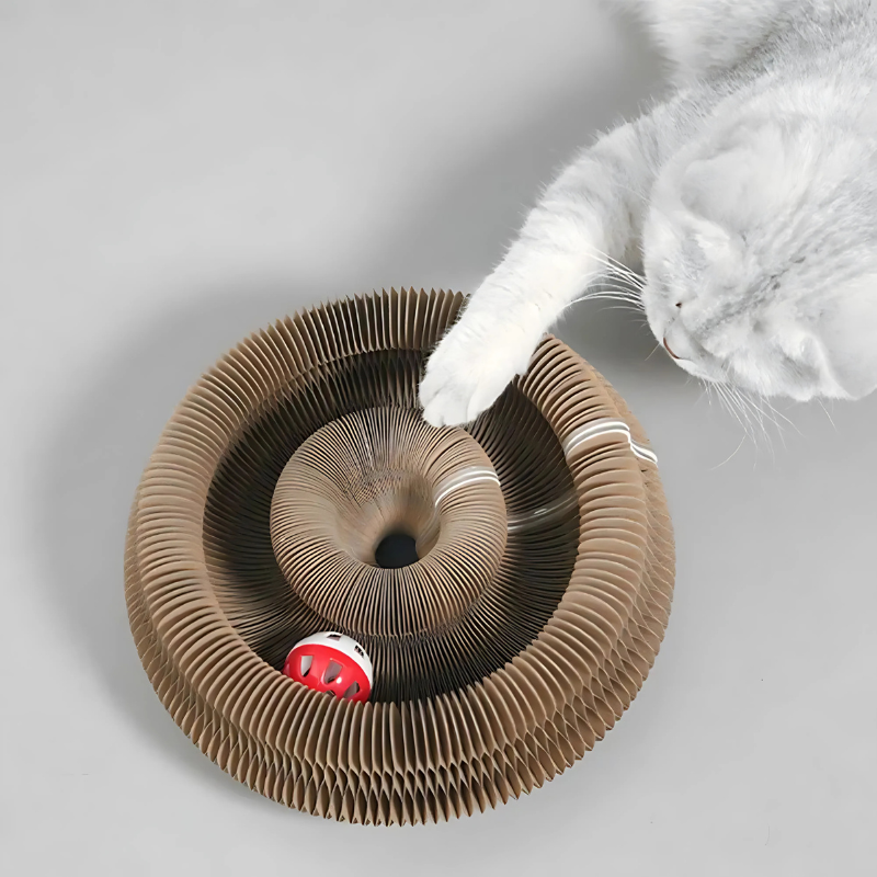 WhirlNest interactive cardboard cat maze scratcher for endless feline fun and scratching.