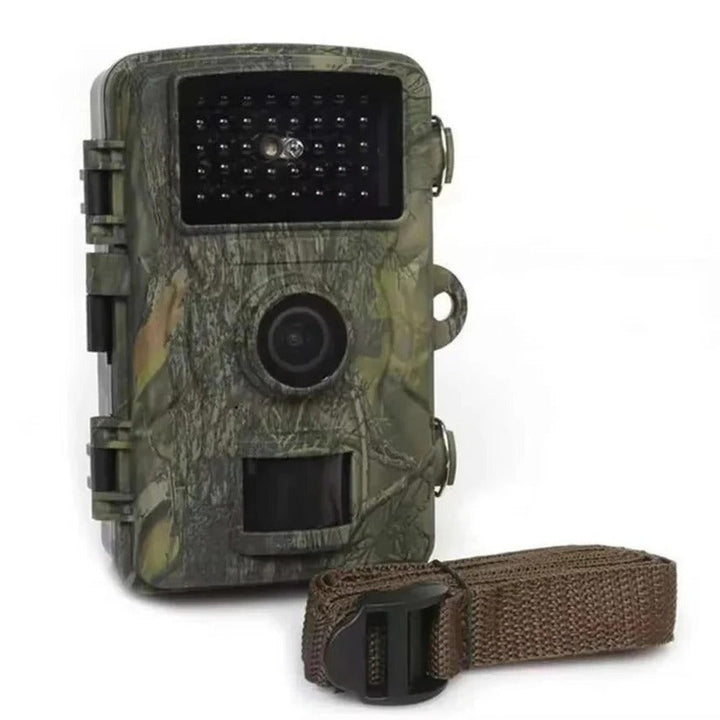 Wildlife camera capturing crisp day footage in its natural habitat.
